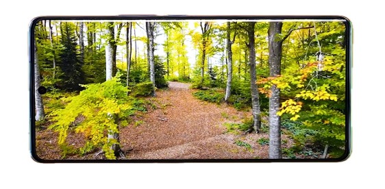 Vivo v30 pro